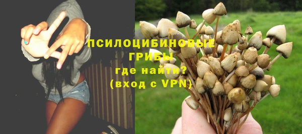 твердый Алексин