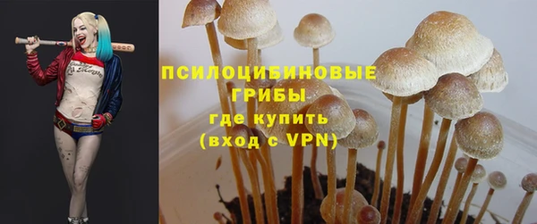 твердый Алексин