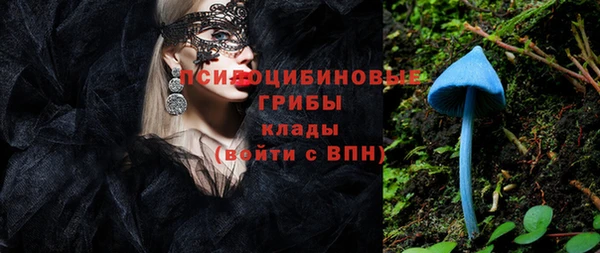 твердый Алексин