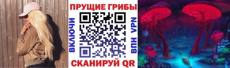 гидра ссылка  Пыталово  Псилоцибиновые грибы мицелий 
